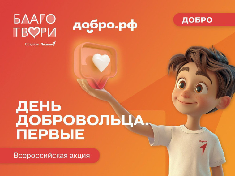 День Добровольца..
